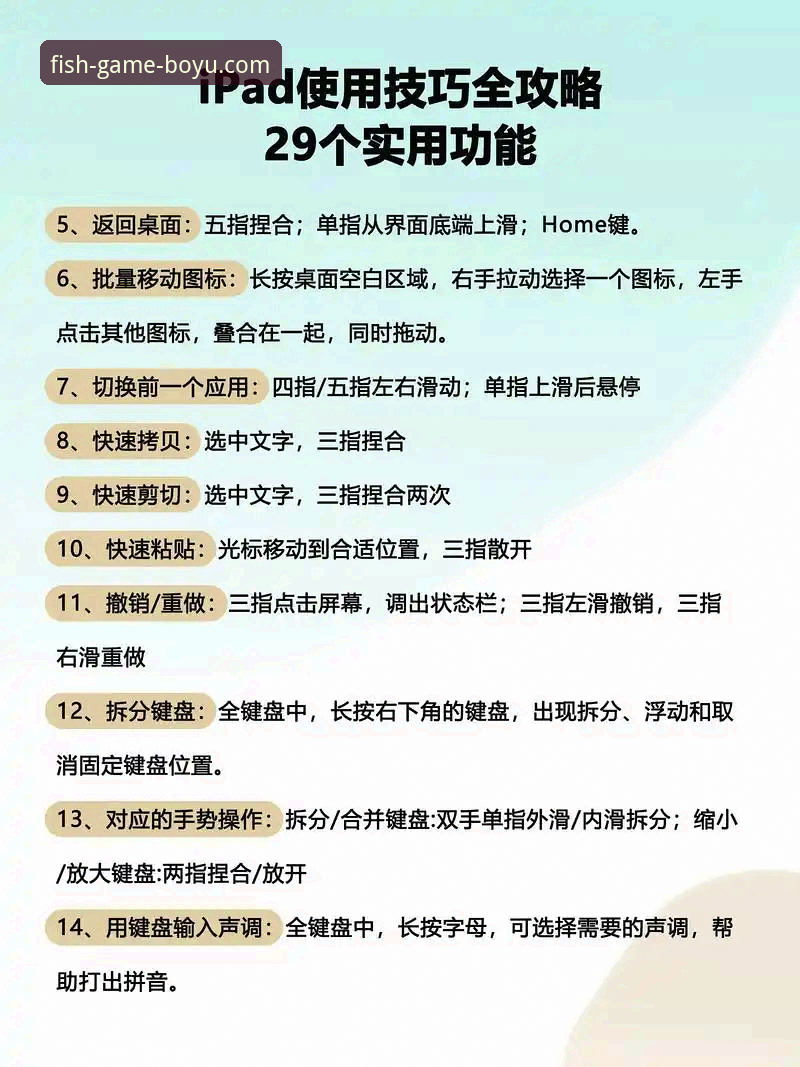 博鱼电脑版使用指南：从安装到畅玩的完整攻略